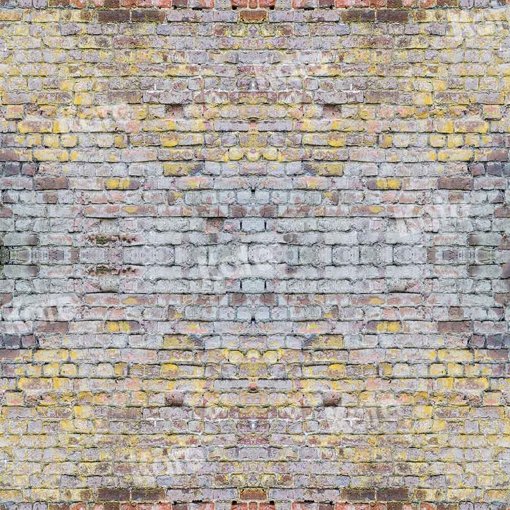 Kate fond de mur de briques anciennes rétro pour la photographie conçu par Chain Photographie - Kate Backdrop FR