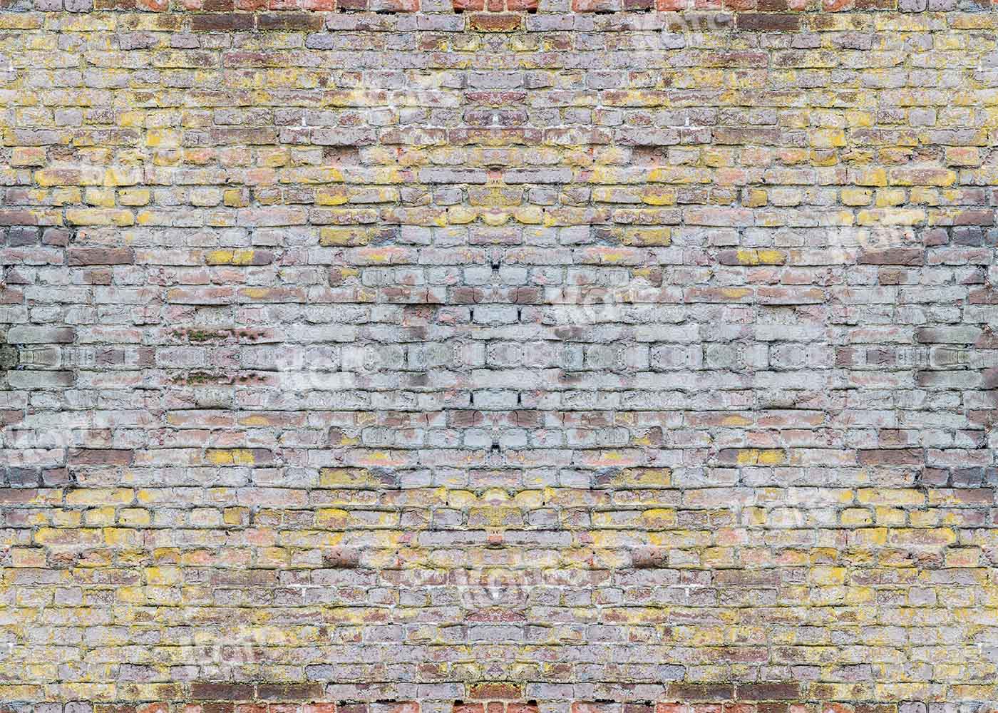 Kate fond de mur de briques anciennes rétro pour la photographie conçu par Chain Photographie - Kate Backdrop FR