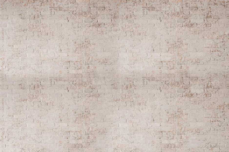 Kate Mur de briques Boho Rétro Toile de fond pour la photographie - Kate Backdrop FR