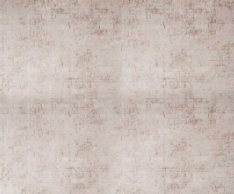 Kate Mur de briques Boho Rétro Toile de fond pour la photographie - Kate Backdrop FR