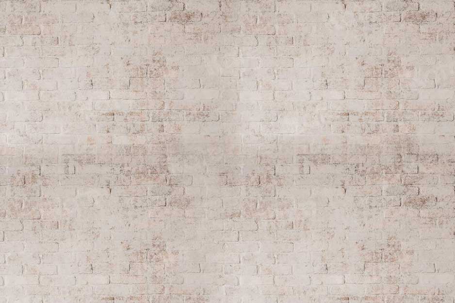 Kate Mur de briques Boho Rétro Toile de fond pour la photographie - Kate Backdrop FR