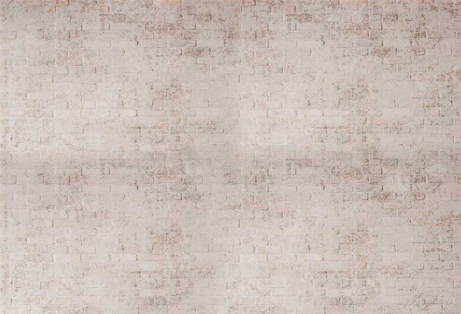 Kate Mur de briques Boho Rétro Toile de fond pour la photographie - Kate Backdrop FR