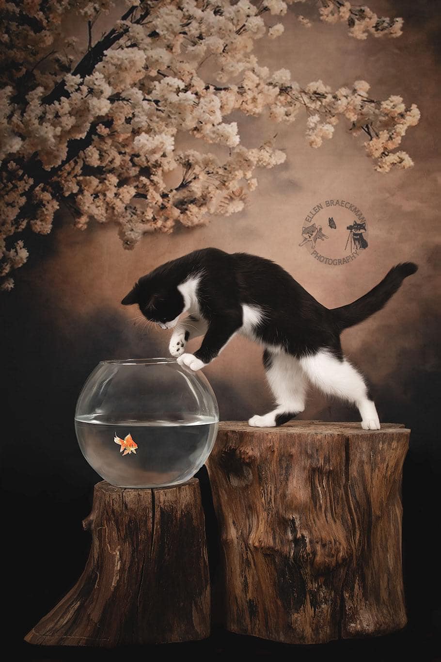 Kate Fleurs Arbre Abstrait Brun Toile de fond pour la photographie - Kate Backdrop FR