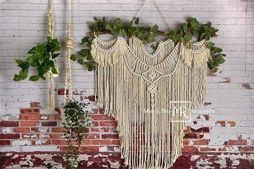 Katebackdrop鎷㈡綖Kate Spring Boho Macrame Wall with Plants Backdrop Designed By Mandy Ringe Photography