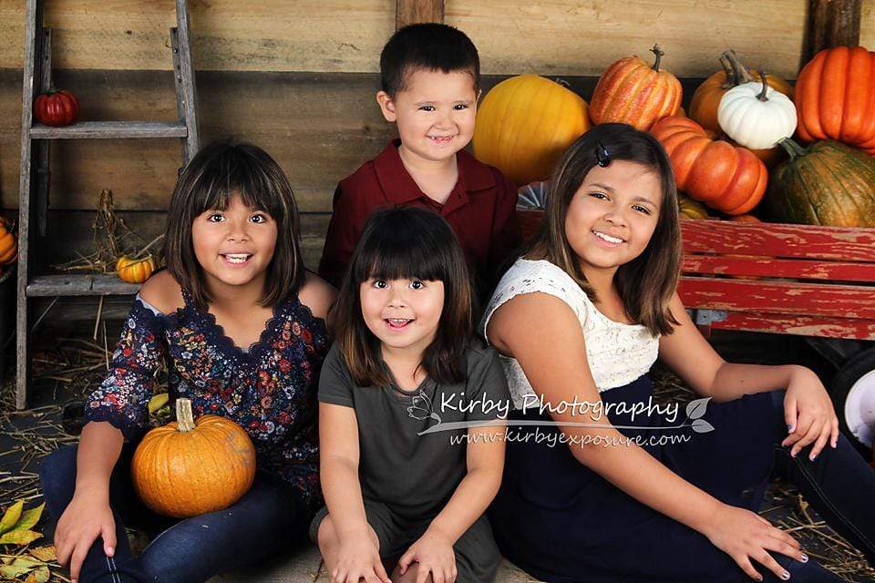 Katebackdrop£ºKate Pumpkin Harvest Backdrop Autumn and Halloween designed by Arica Kirby