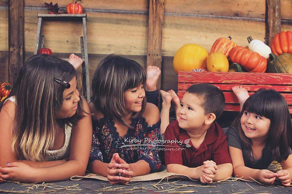 Katebackdrop£ºKate Pumpkin Harvest Backdrop Autumn and Halloween designed by Arica Kirby