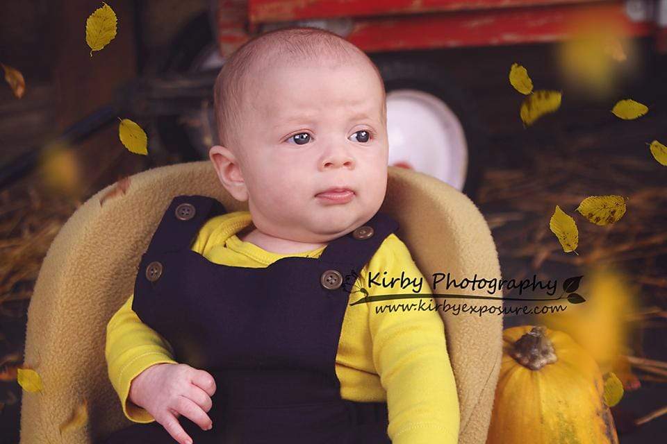 Katebackdrop£ºKate Pumpkin Harvest Backdrop Autumn and Halloween designed by Arica Kirby