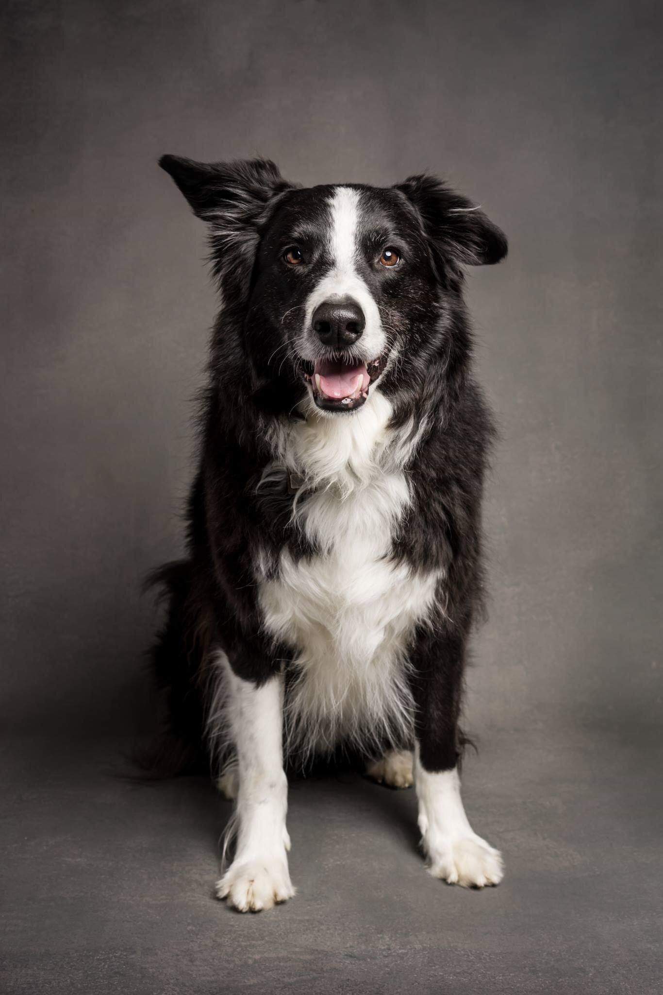 Katebackdrop£ºKate Abstract Texture Cold Black Spray Painted Backdrop S0003