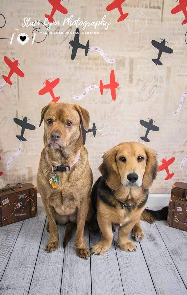 Katebackdrop£ºKate Retro Planes Valentines Backdrop for Photography designed by Jerry_Sina