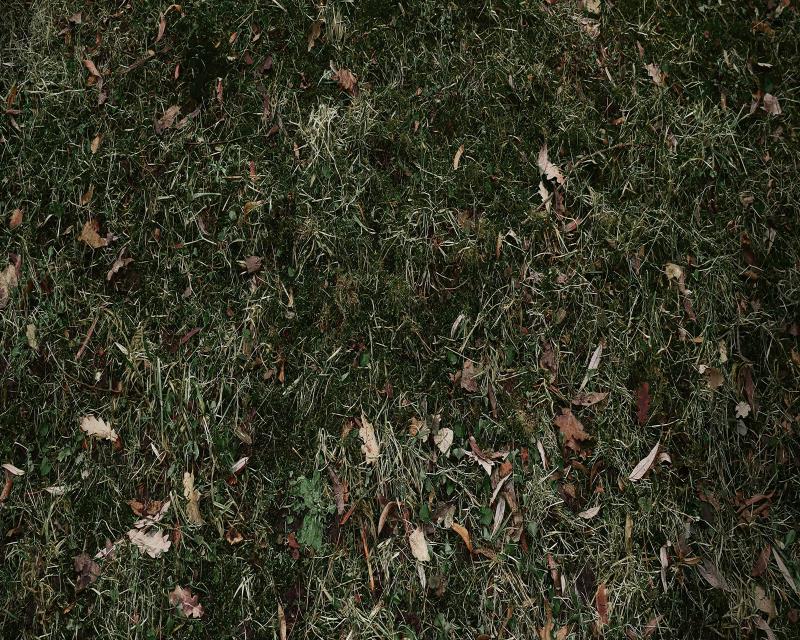 Kate tapis de sol en caoutchouc de feuilles mortes de prairie - Kate Backdrop FR