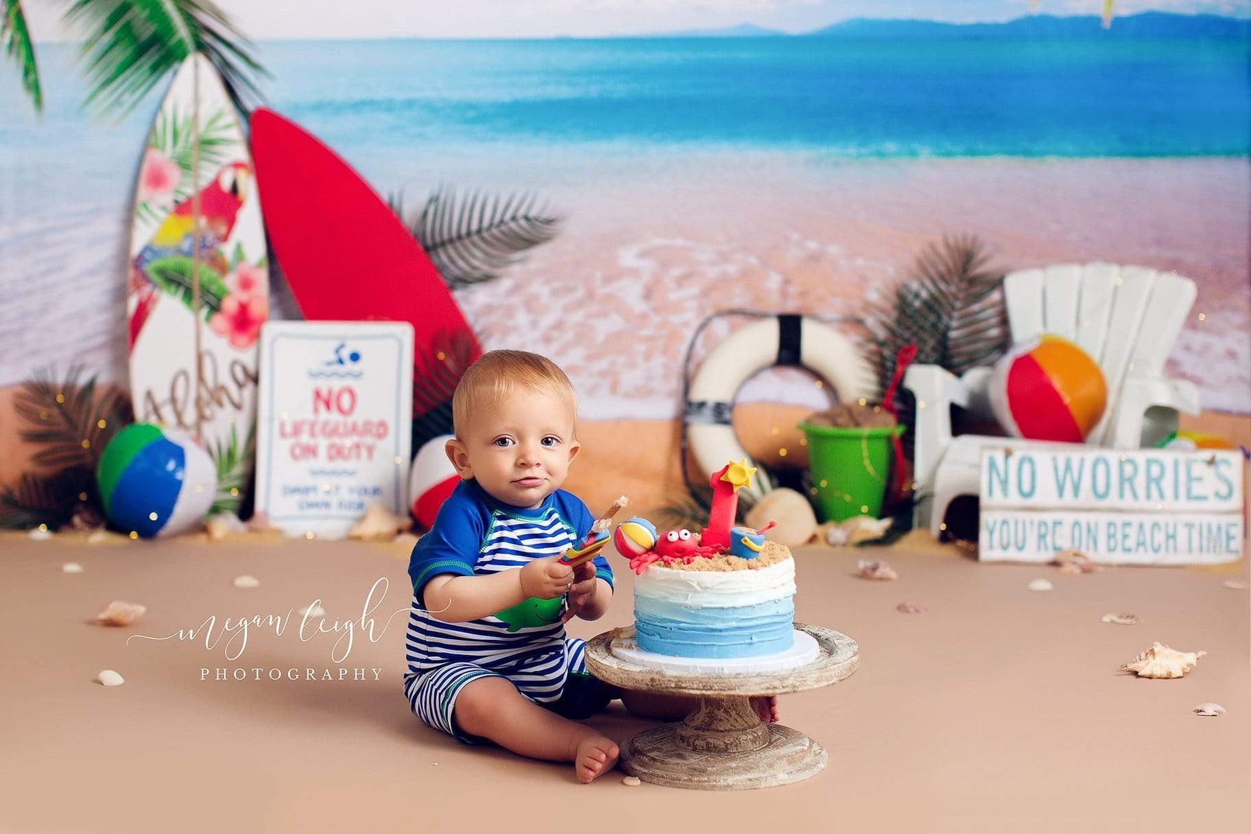 Katebackdrop鎷㈡綖Kate Beach Day Sea Summer Backdrop for Photography Designed by Megan Leigh Photography