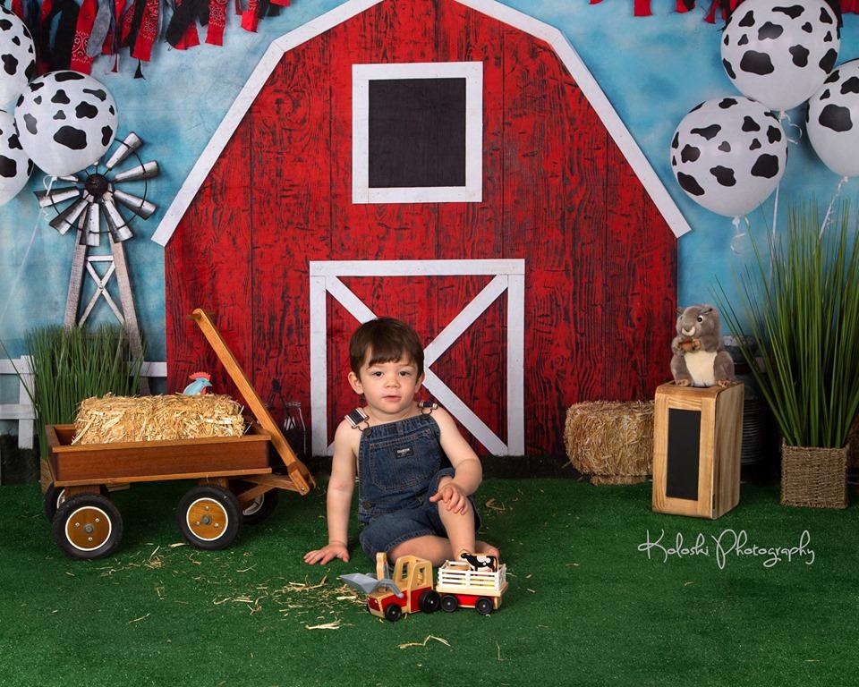 Katebackdrop£ºKate Barnyard Fun Balloons Children Backdrops Designed by Arica Kirby