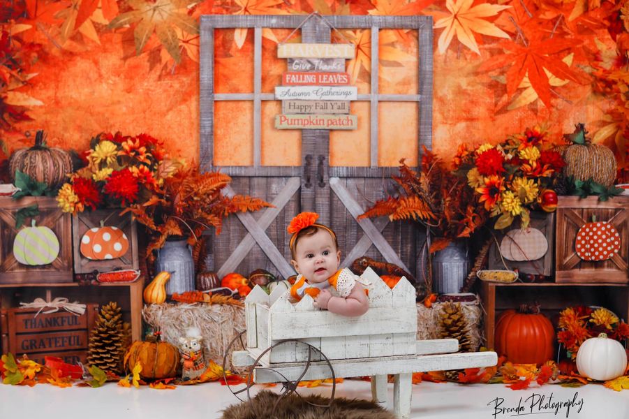Kate Feuilles Automne Action de grâces Citrouilles Toile de fond pour la photographie - Kate Backdrop FR
