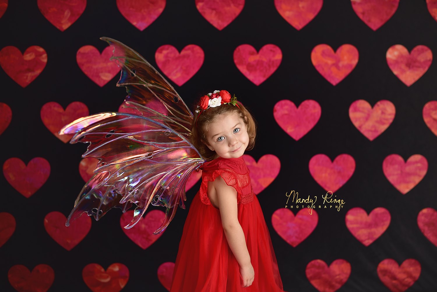 Kate Motif coeur Rouge Saint-Valentin Toile de fond conçu par Mandy Ringe