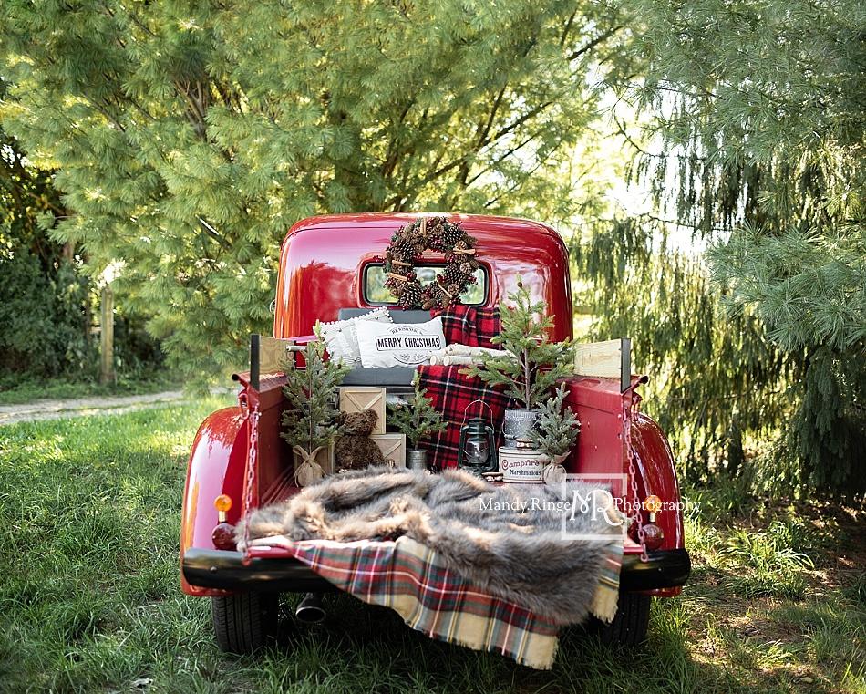 Kate Camion Noël Rouge Plante Toile de fond conçue par Mandy Ringe - Kate Backdrop FR