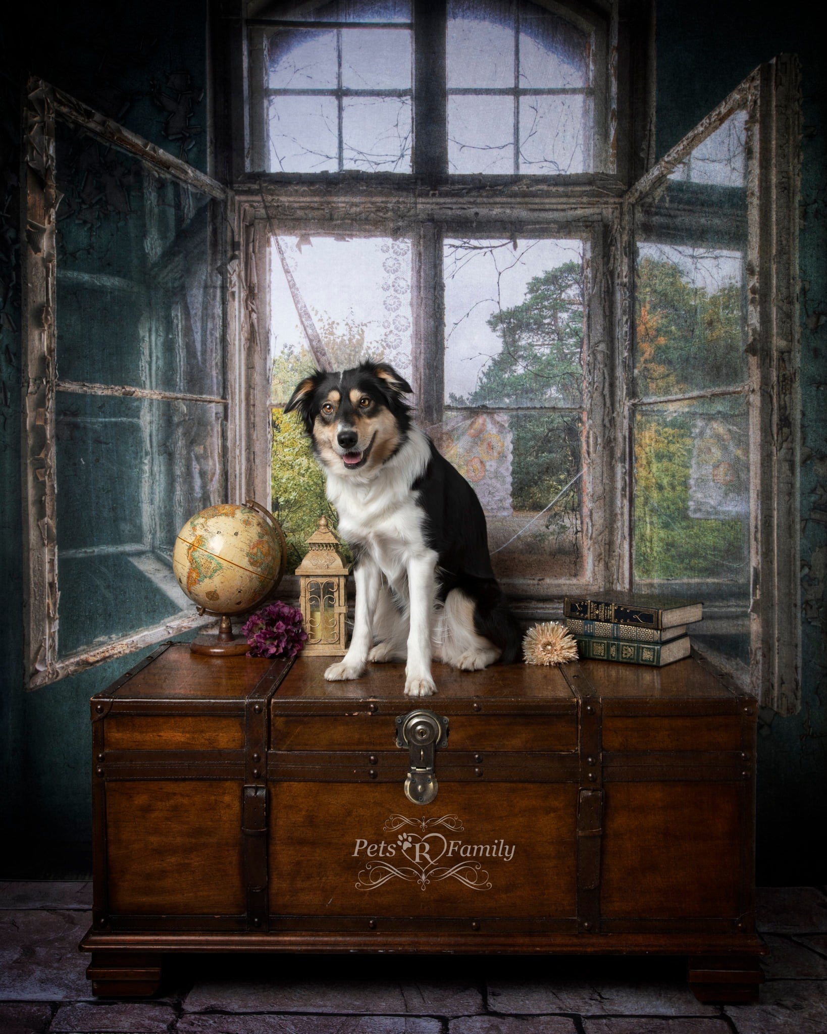 Kate Rétro Bâtiment Intérieur Gris Bleu Fenêtre Toile de fond pour la photographie - Kate Backdrop FR