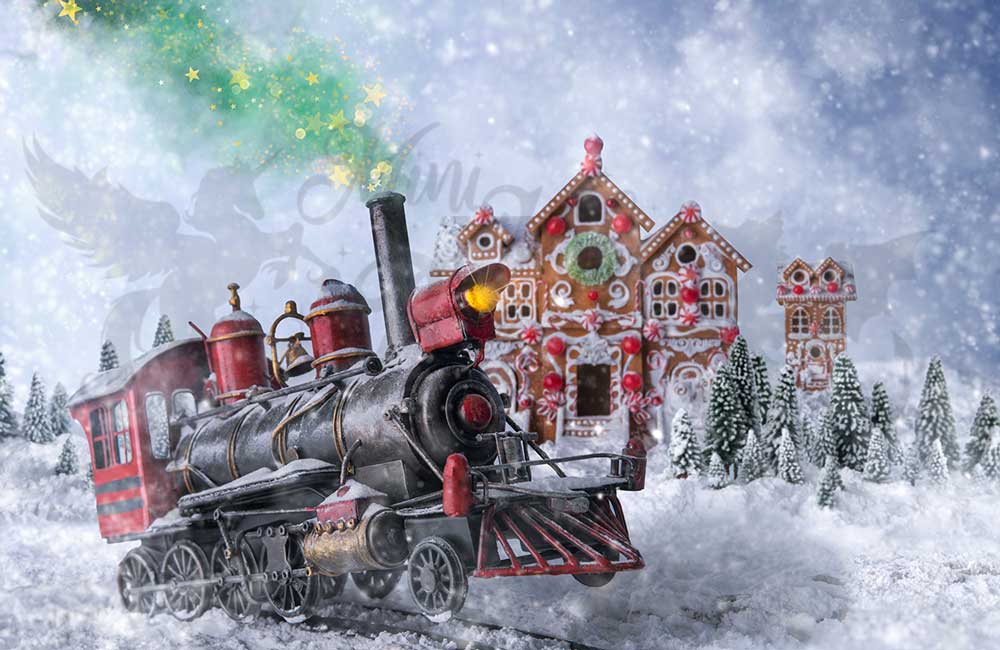 Kate Noël Train polaire Neige Hiver Toile de fond conçu par Mini MakeBelieve - Kate Backdrop FR