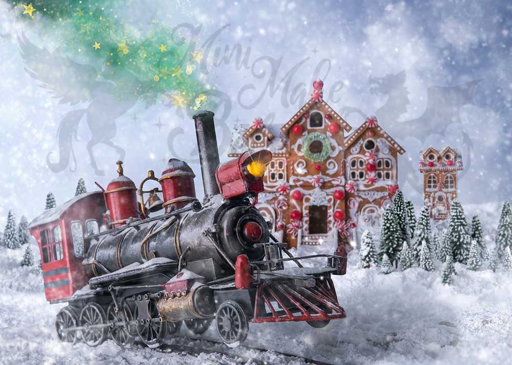 Kate Noël Train polaire Neige Hiver Toile de fond conçu par Mini MakeBelieve - Kate Backdrop FR