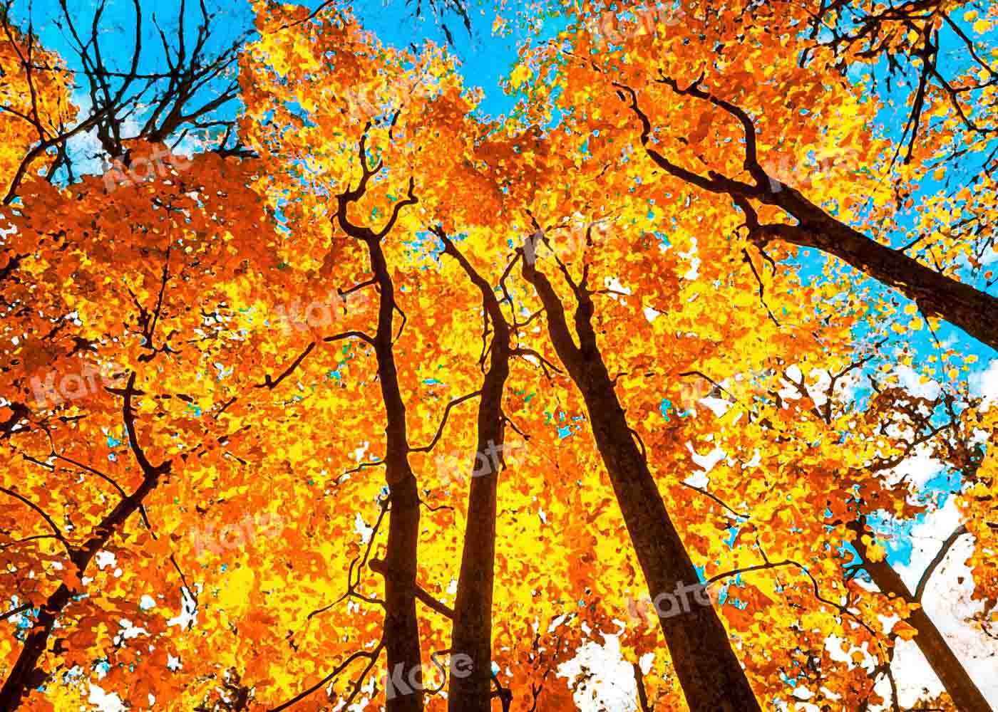 Kate Ciel Forêt Automne Jaune Toile de fond conçu par Chain Photography - Kate Backdrop FR