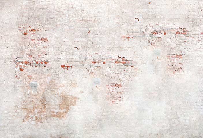 Kate brique rétro vieille toile de fond pour la photographie - Kate Backdrop FR