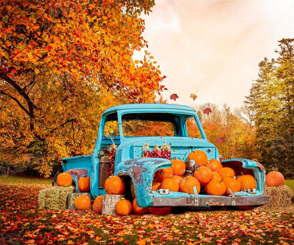 Kate Forêt Voiture de citrouille Automne Toile de fond pour la photographie - Kate Backdrop FR