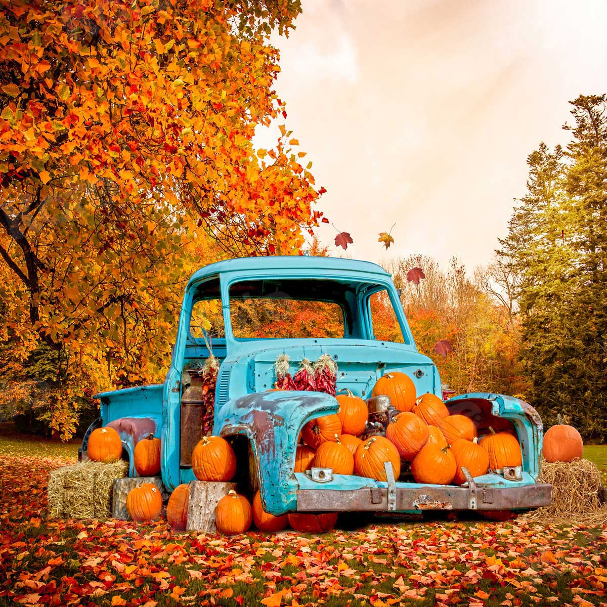 Kate Forêt Voiture de citrouille Automne Toile de fond pour la photographie - Kate Backdrop FR