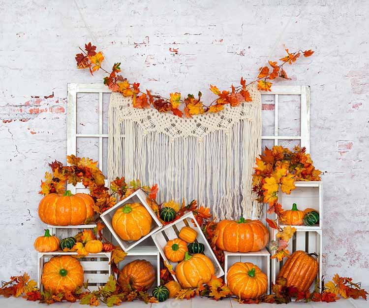 Kate Citrouille Automne Mur de brique Blanc Toile de fond conçue par Emetselch - Kate Backdrop FR