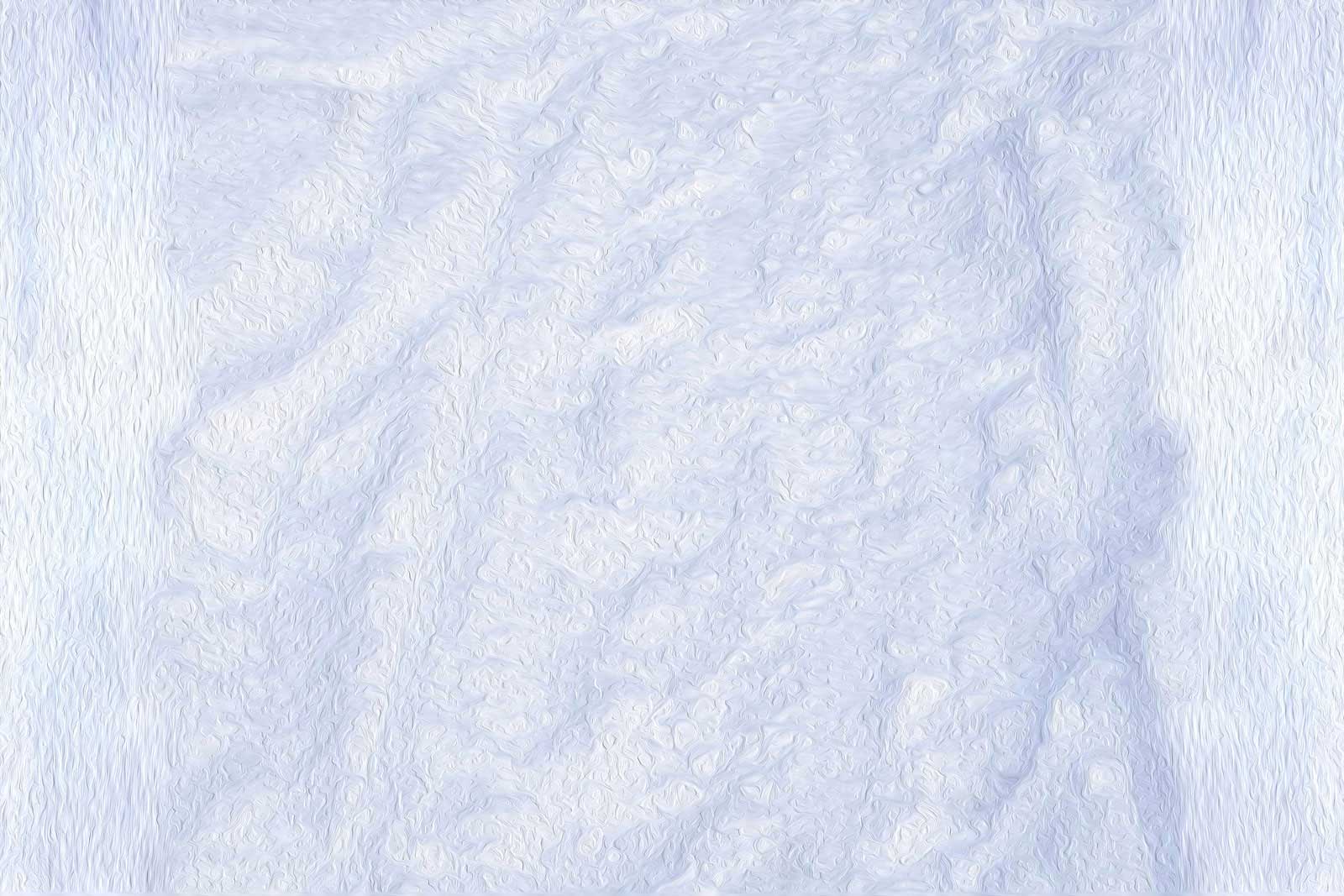 Kate toile de fond de neige d'hiver blanc pour la photographie - Kate Backdrop FR