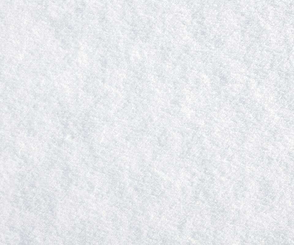 Kate Neige blanche Hiver Toile de fond pour la photographie - Kate Backdrop FR