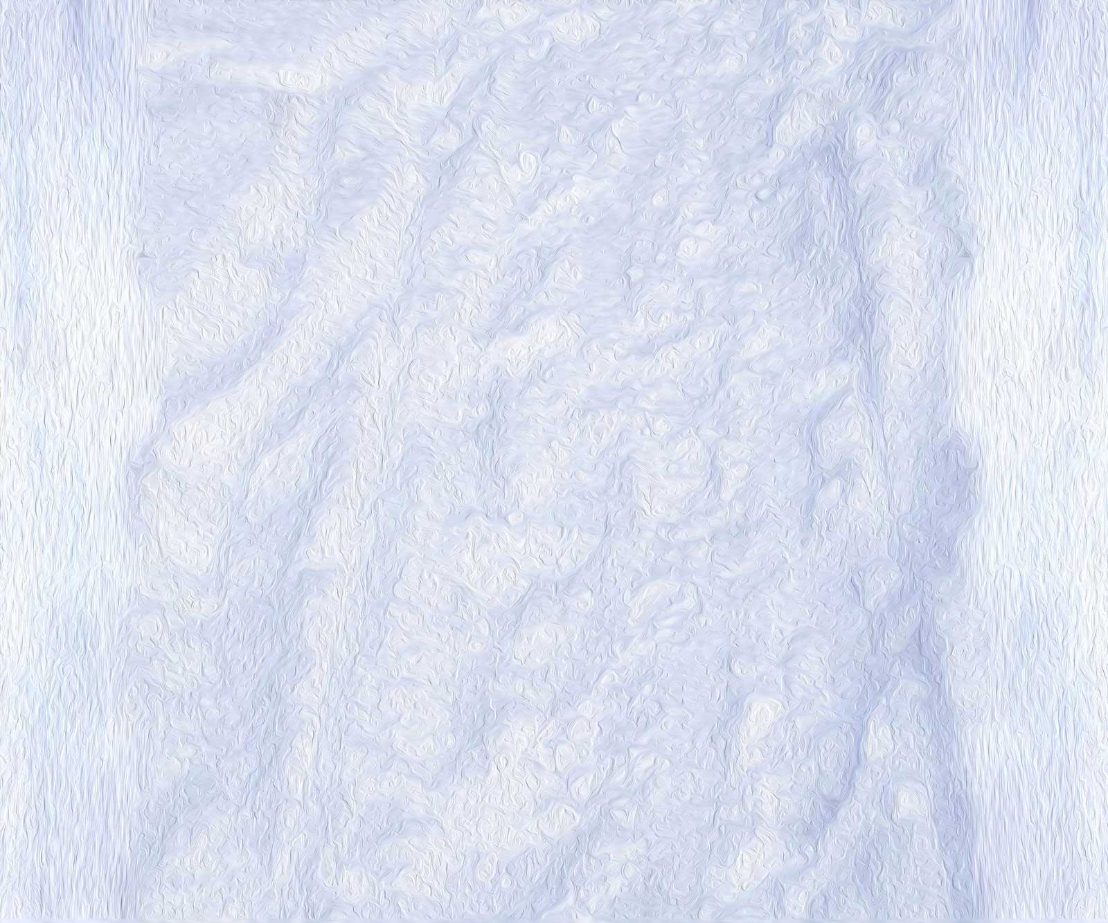 Kate toile de fond de neige d'hiver blanc pour la photographie - Kate Backdrop FR