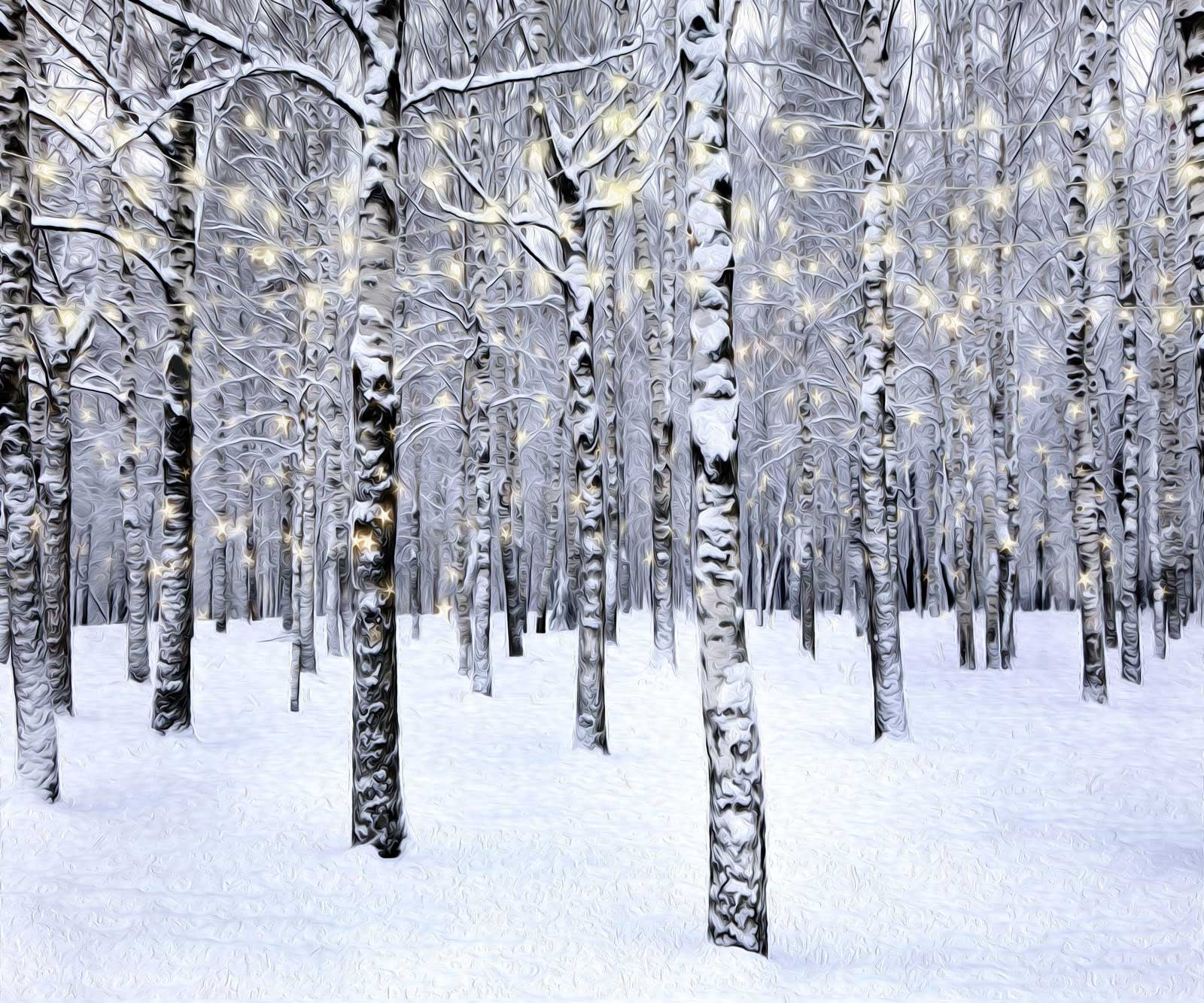 Kate Forêt Noël Hiver Blanc Toile de fond pour la photographie - Kate Backdrop FR