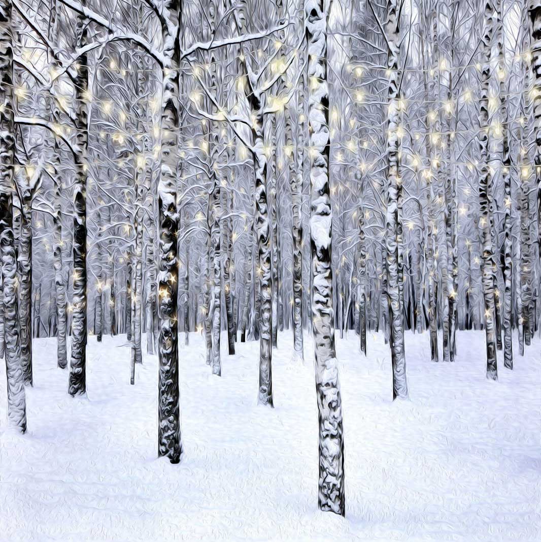 Kate Forêt Noël Hiver Blanc Toile de fond pour la photographie - Kate Backdrop FR