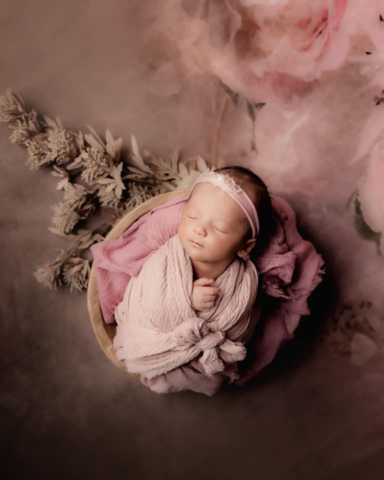 Kate Roses Fleurs Rétro Beaux-arts Rose Toile de fond pour la photographie - Kate Backdrop FR