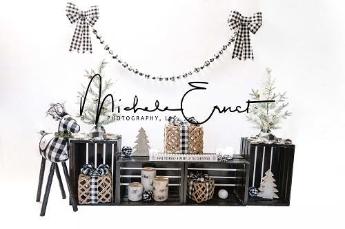 Kate Toile de fond de grille noir et blanc de Noël conçue par Michele Ernst Photographie