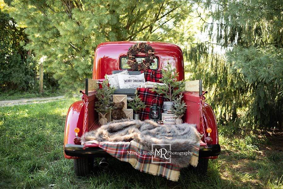 Kate Camion Noël Rouge Plante Toile de fond conçue par Mandy Ringe - Kate Backdrop FR
