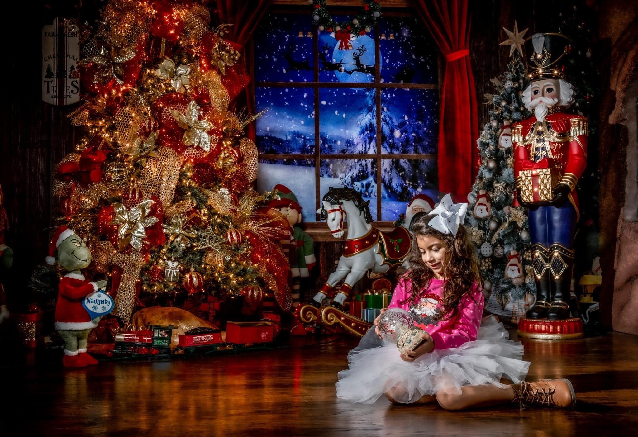 Kate Fenêtres Intérieur Arbres Noël Ensemble de chambre (8pix8pi&10pix8pi&8pix10pi) - Kate Backdrop FR