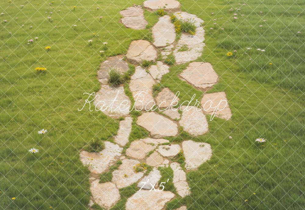 Kate Chemin Pierre Prairie Verte Sol Toile de fond conçue par Emetselch