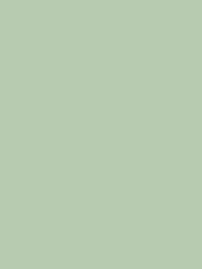 Kate Couleur unie Vert sauge Toile de fond Photographie de portrait - Kate Backdrop FR