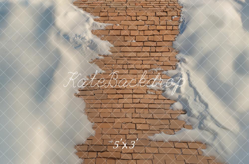 Kate Hiver Chemin Briques Neige Sol Toile de fond conçue par Emetselch - Kate Backdrop FR