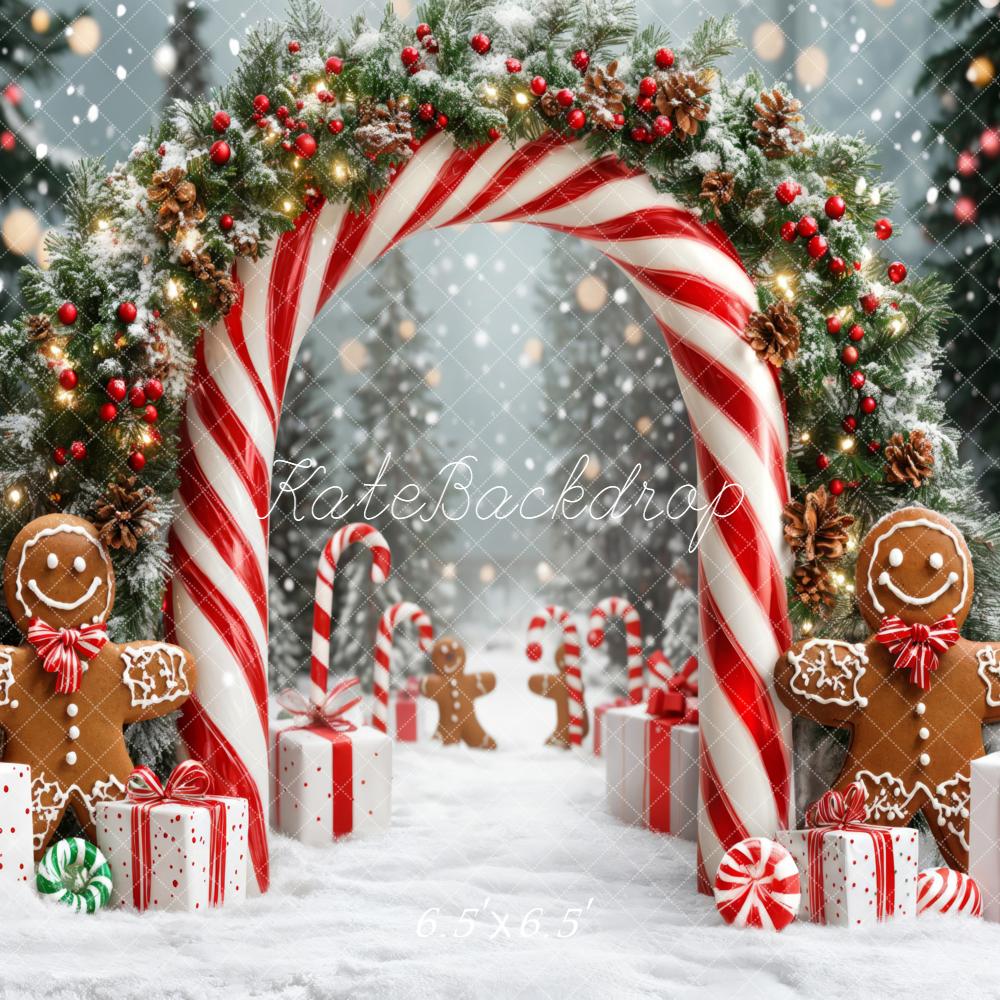 Kate Noël Arc Bonbons Pain d'Épice Neige Toile de fond conçue par Emetselch - Kate Backdrop FR