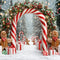 Kate Noël Arc Bonbons Pain d'Épice Neige Toile de fond conçue par Emetselch - Kate Backdrop FR