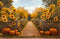 Kate Automne Tournesols Citrouilles Clôture Toile de fond conçue par Emetselch - Kate Backdrop FR