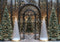 Kate Noël Sapins Arche Lumières Toile de fond conçue par Mini MakeBelieve - Kate Backdrop FR