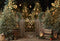 Kate Sapins de Noël Bokeh Lumière Toile de fond conçue par Emetselch - Kate Backdrop FR