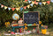 Kate Scolaire Tableau Noir Livres Toile de fond en Laine conçue par Emetselch - Kate Backdrop FR