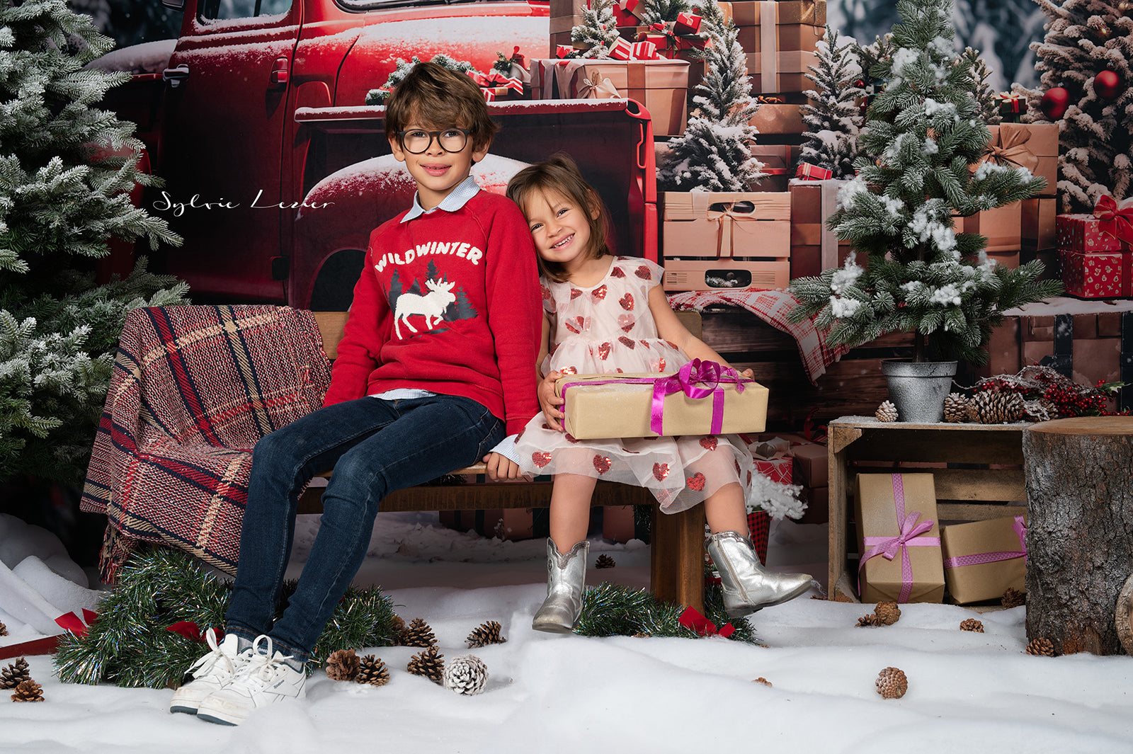 Kate Noël Arbre Camion Rouge Cadeaux Toile de fond conçue par Emetselch - Kate Backdrop FR