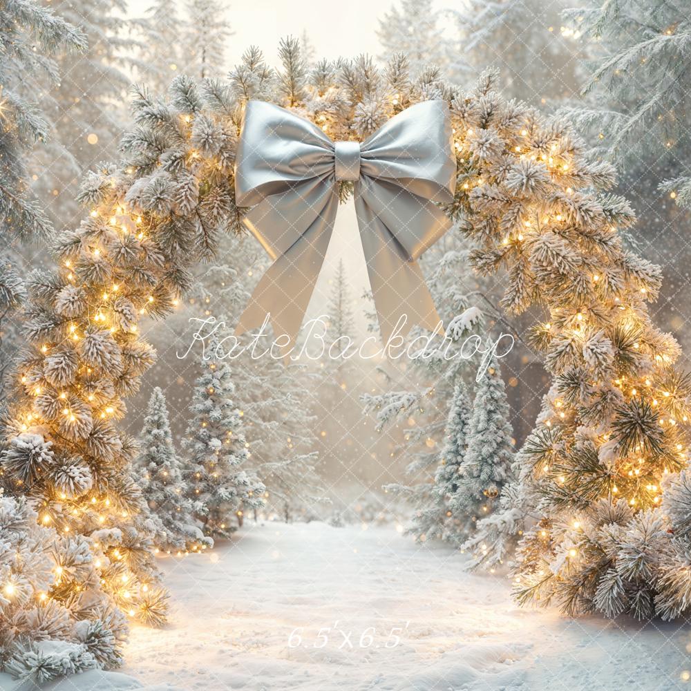Kate Hiver Arche Guirlande Lumineuse Toile de fond conçue par Emetselch - Kate Backdrop FR