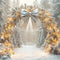 Kate Hiver Arche Guirlande Lumineuse Toile de fond conçue par Emetselch - Kate Backdrop FR