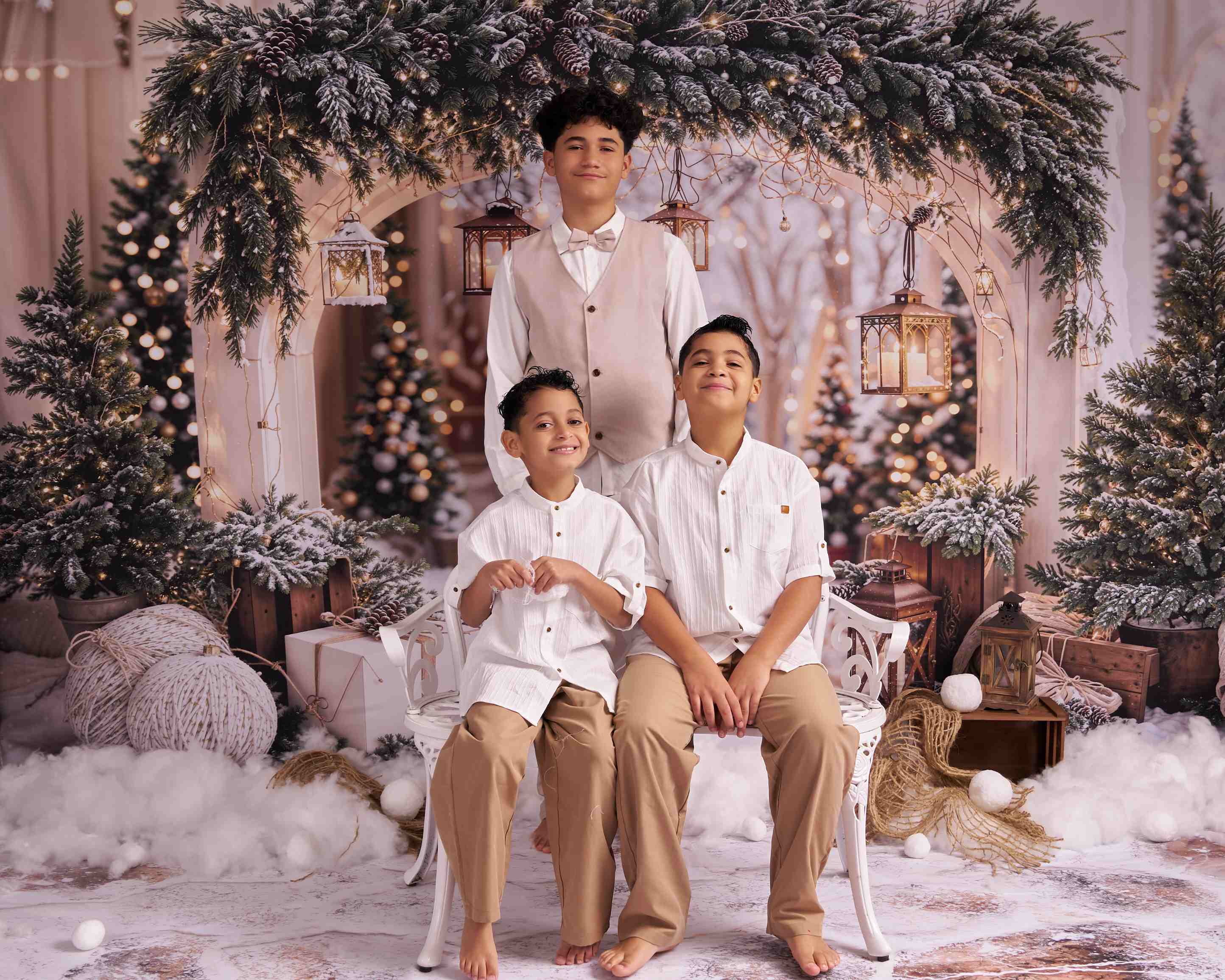 Kate Noël Arche Neige Arbres Lumière Toile de fond conçue par Emetselch