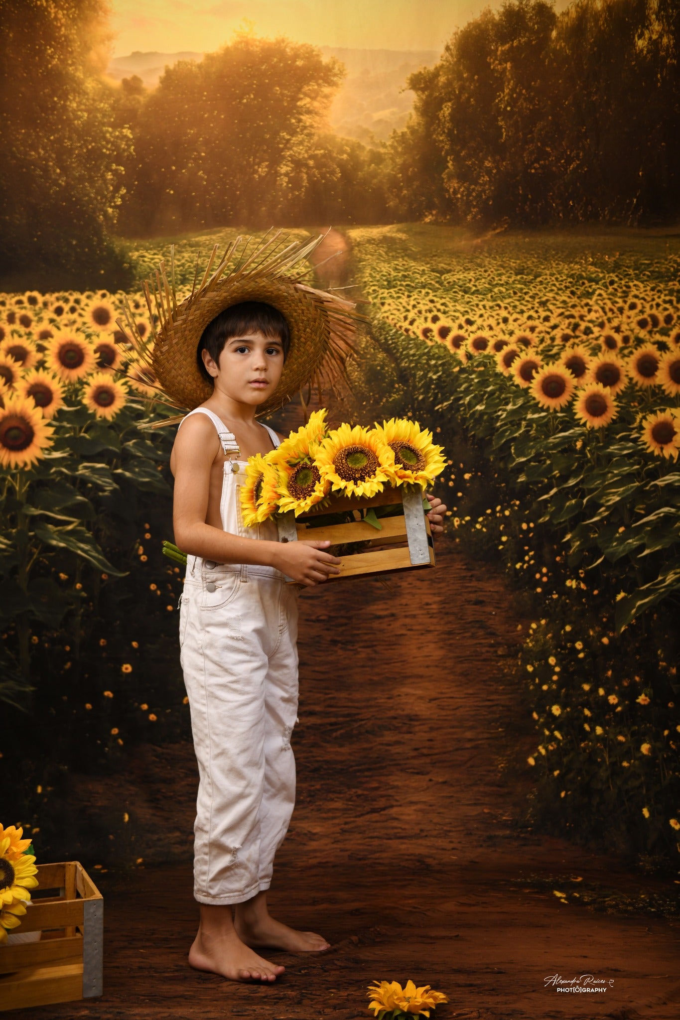 Kate Été Champ de Tournesols Chemin Toile de fond conçue par Emetselch - Kate Backdrop FR